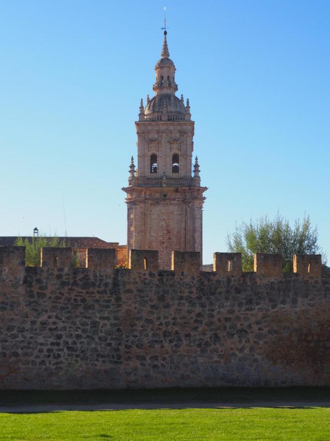 La Casona Del Zoilo -Los Arenales- El Burgo De Osma Bagian luar foto