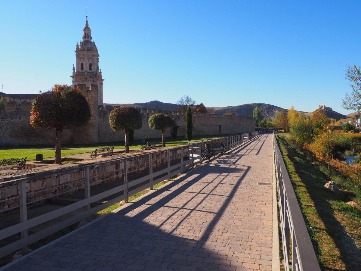 La Casona Del Zoilo -Los Arenales- El Burgo De Osma Bagian luar foto